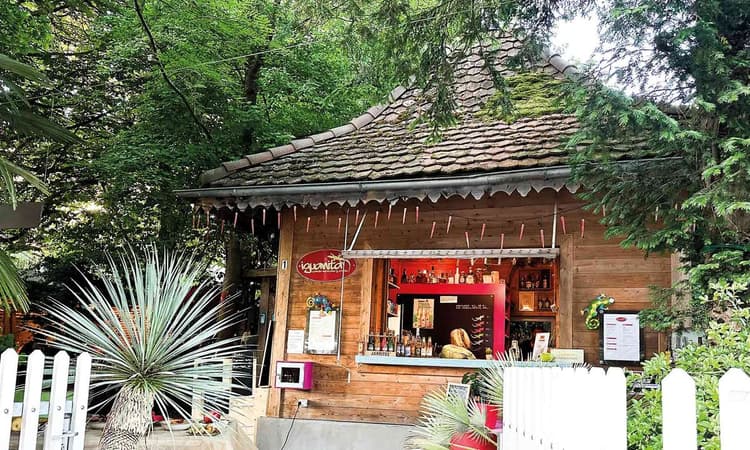 iguanita – Foto 1