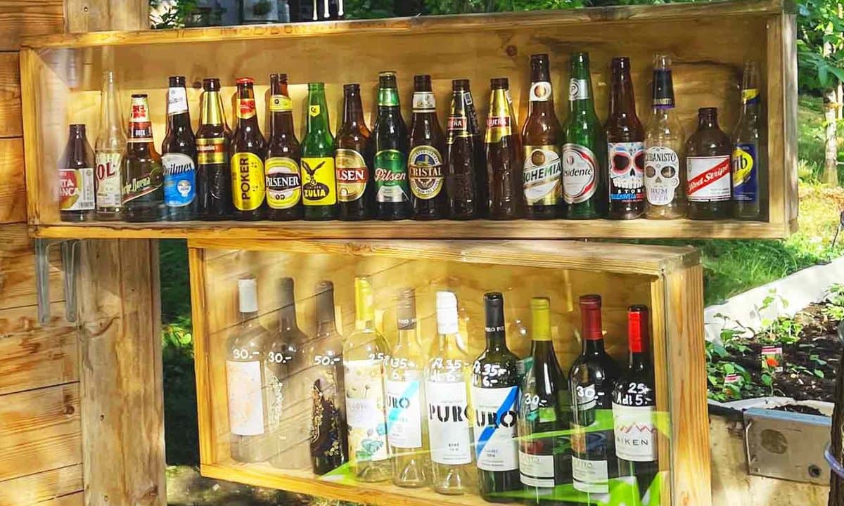 iguanita – Foto 2