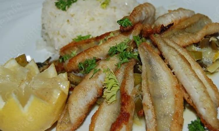 Pasta & Vino – Foto 1