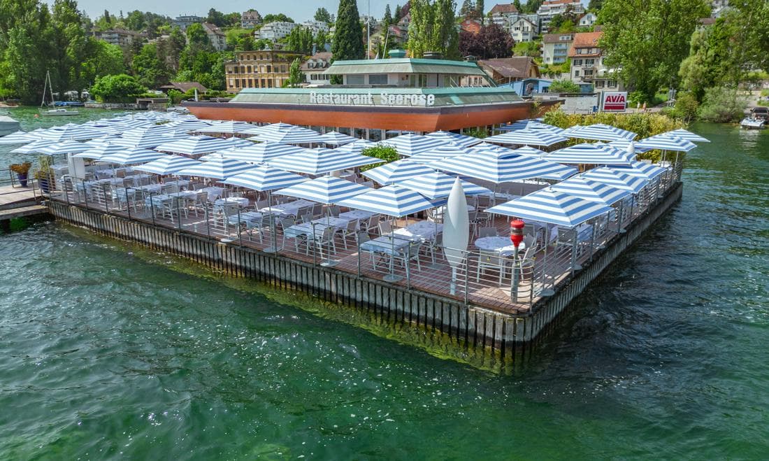Seerose – Foto 3