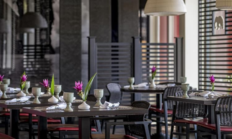 White Elephant Restaurant – Foto 1