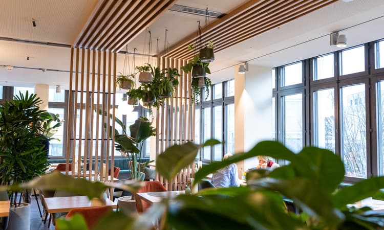 Cosmo Luzern – Foto 1