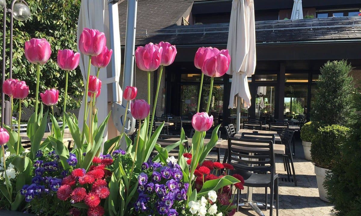 Auberge communale du Grand Donzel – Foto 4