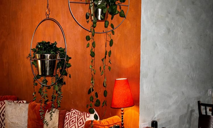 CACTUS – Foto 1