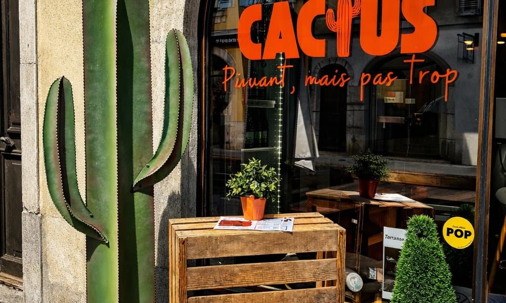 CACTUS – Foto 5