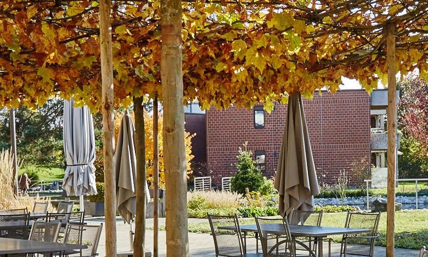 Restaurant Giardino – Foto 5