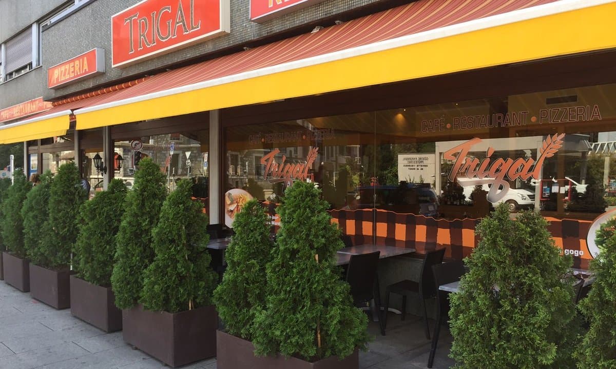 Trigal – Foto 2