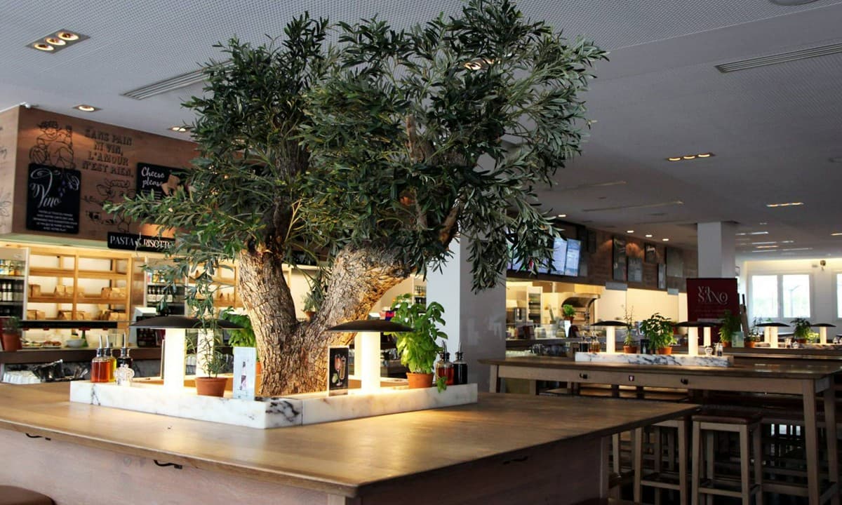 VaSano Ristorante – Restaurant in Lausanne